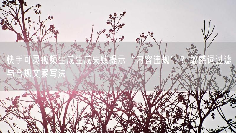 快手可灵视频生成生成失败提示“内容违规”？敏感词过滤与合规文案写法