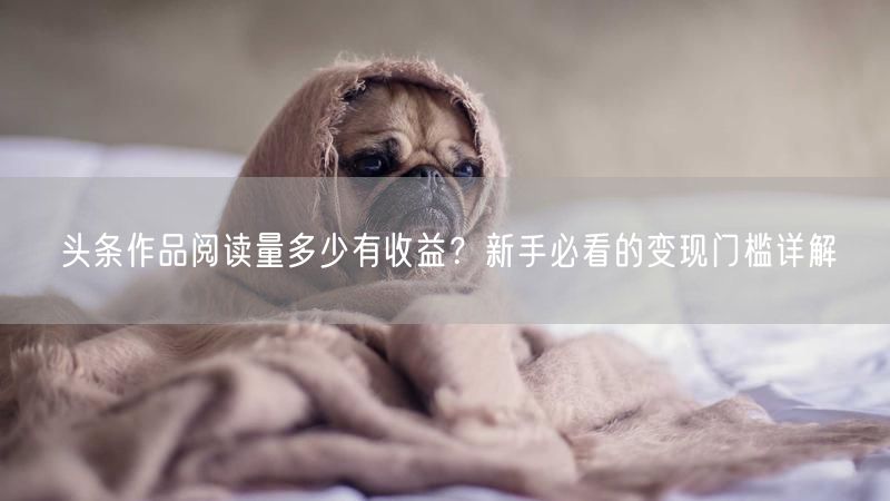 头条作品阅读量多少有收益？新手必看的变现门槛详解