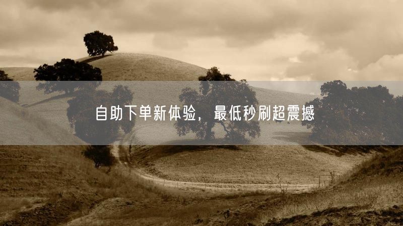 自助下单新体验，最低秒刷超震撼