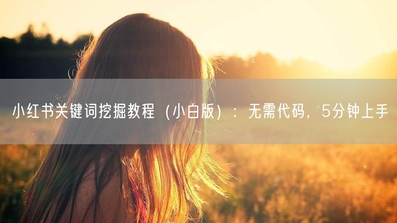 小红书关键词挖掘教程（小白版）：无需代码，5分钟上手