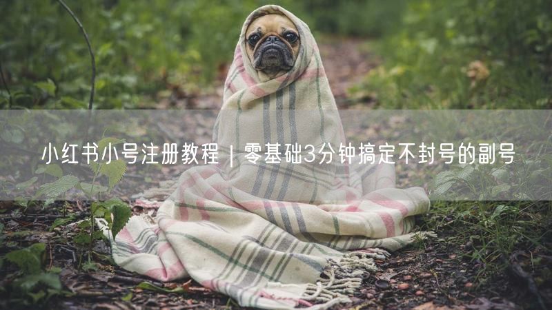 小红书小号注册教程｜零基础3分钟搞定不封号的副号