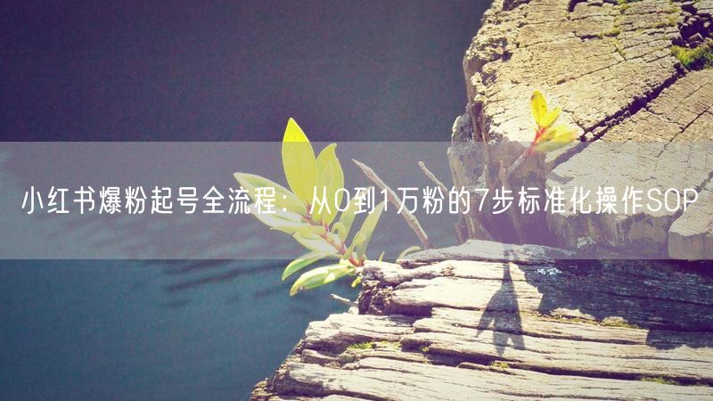 小红书爆粉起号全流程：从0到1万粉的7步标准化操作SOP