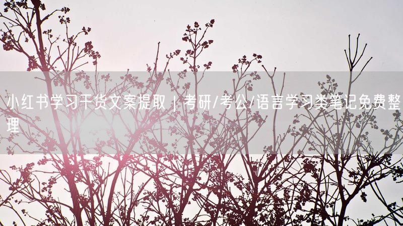小红书学习干货文案提取｜考研/考公/语言学习类笔记免费整理