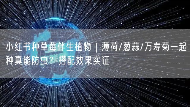 小红书种草莓伴生植物｜薄荷/葱蒜/万寿菊一起种真能防虫？搭配效果实证