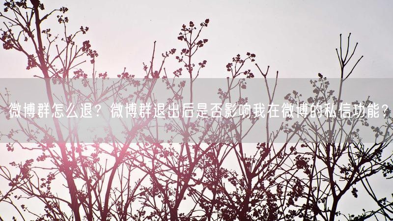 微博群怎么退？微博群退出后是否影响我在微博的私信功能？