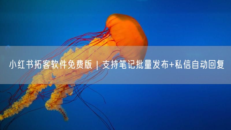 小红书拓客软件免费版｜支持笔记批量发布+私信自动回复