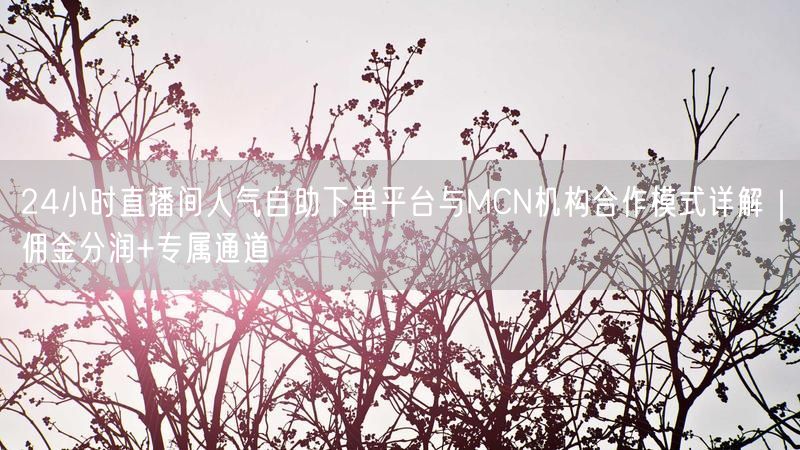 24小时直播间人气自助下单平台与MCN机构合作模式详解｜佣金