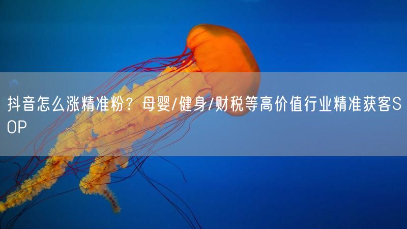 抖音怎么涨精准粉？母婴/健身/财税等高价值行业精准获客SOP