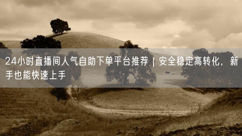 24小时直播间人气自助下单平台推荐｜安全稳定高转化，新手也能